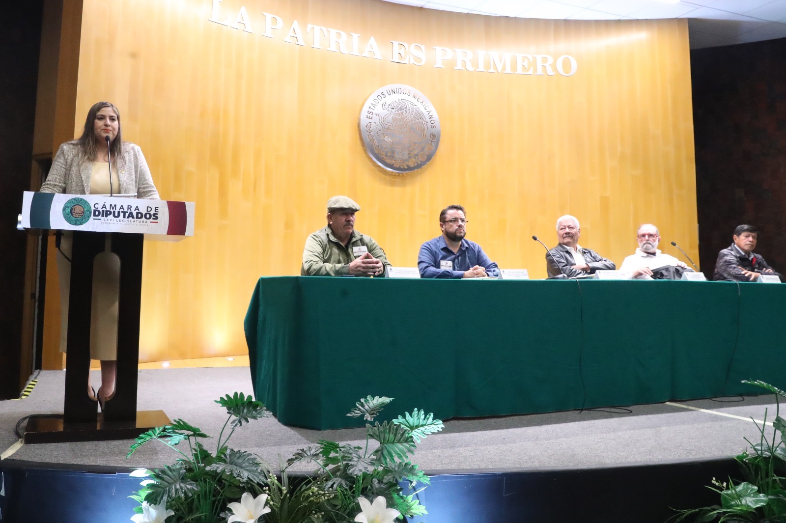 El campo no sólo es la soberanía alimentaria de México, también significa seguridad nacional: Roselia Suárez El campo no sólo es la soberanía alimentaria de México, también significa seguridad nacional: Roselia Suárez