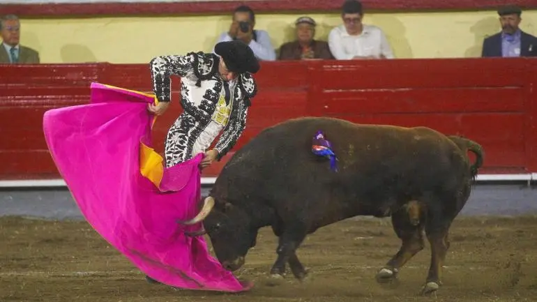 Inviable realizar ‘corridas sin sangre’ en la CDMX: Plaza de Toros México Inviable realizar ‘corridas sin sangre’ en la CDMX: Plaza de Toros México