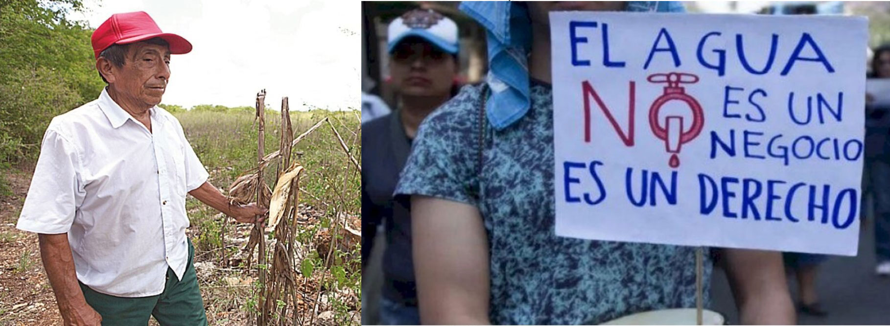 Millfoods distante de su discurso como sustentable en Salamanca agrava una crisis hídrica silenciosa Millfoods distante de su discurso como sustentable en Salamanca agrava una crisis hídrica silenciosa