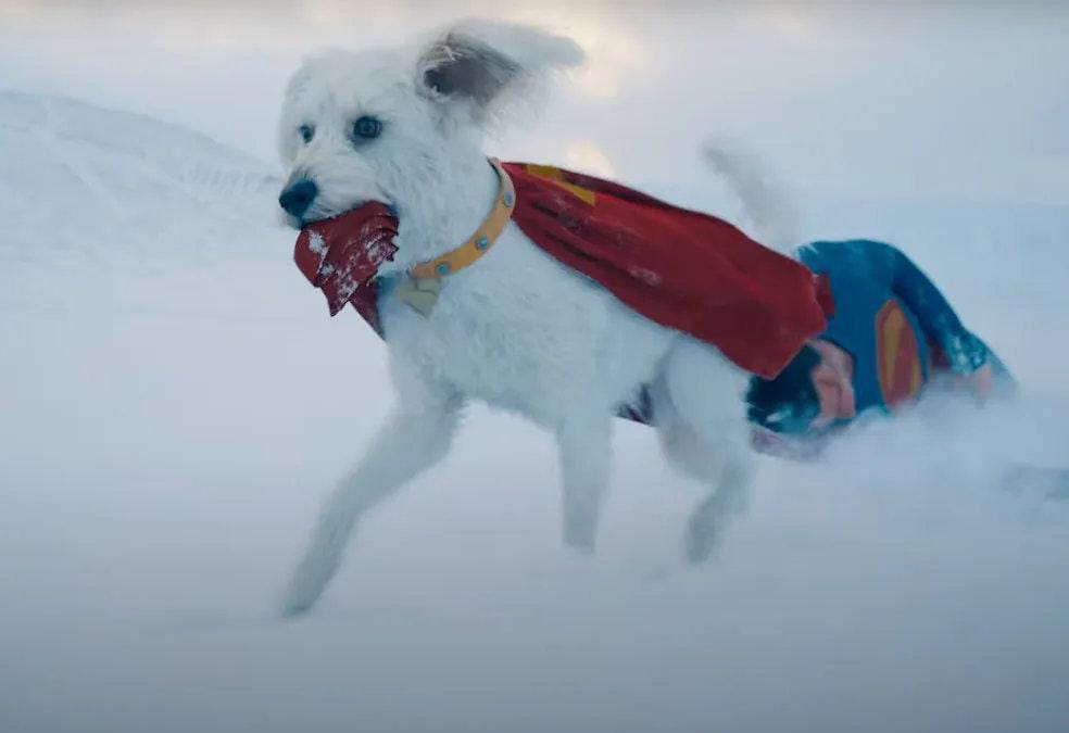 SUPERMAN DISPARA LAS ADOPCIONES CANINAS TRAS SU ESTRENO EN CINES SUPERMAN DISPARA LAS ADOPCIONES CANINAS TRAS SU ESTRENO EN CINES