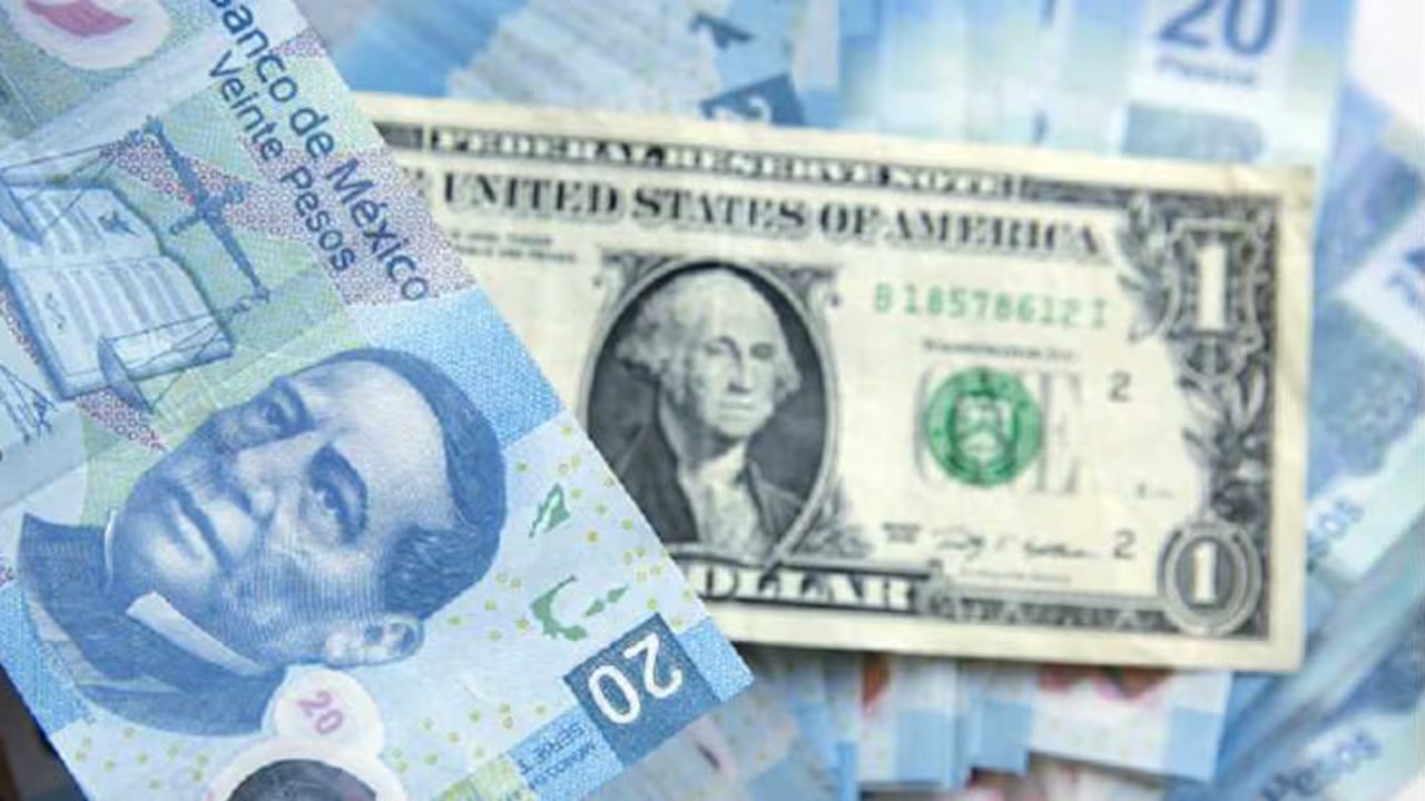 Peso mexicano ligó jornada de apreciación; cerró en $18.73 por dólar Peso mexicano ligó jornada de apreciación; cerró en $18.73 por dólar