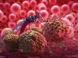 La vigilancia molecular, clave para combatir la malaria en México. El arte de disfrutar con estilo y sentido. La vigilancia molecular, clave para combatir la malaria en México. El arte de disfrutar con estilo y sentido.