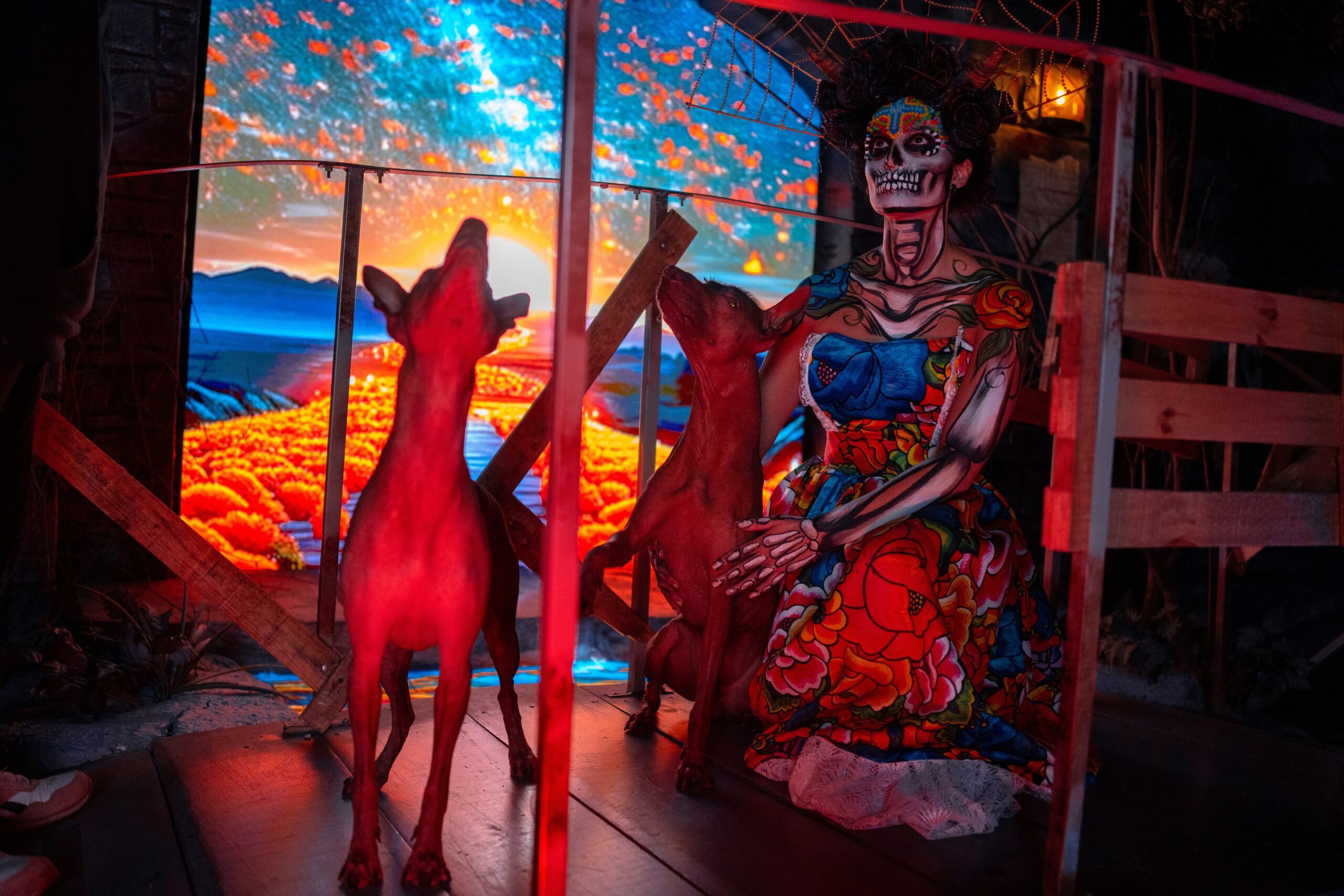 Regresa “Un Viaje al Mictlán” a la CDMX: la experiencia inmersiva premiada internacionalmente que revive el Día de Muertos Regresa “Un Viaje al Mictlán” a la CDMX: la experiencia inmersiva premiada internacionalmente que revive el Día de Muertos