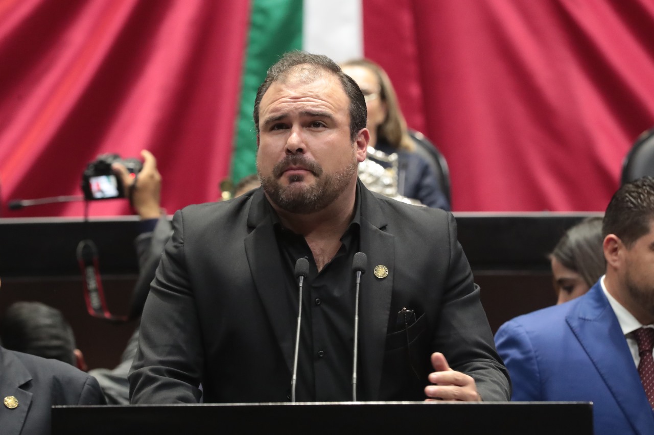 Impulsan reforma para aumentar sanciones penales contra la tala ilegal Impulsan reforma para aumentar sanciones penales contra la tala ilegal