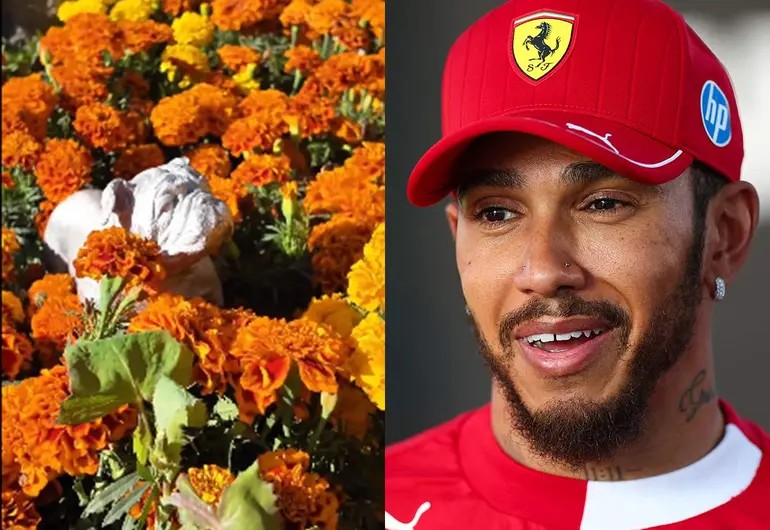 El GP de México recuerda a Roscoe, mascota de Hamilton El GP de México recuerda a Roscoe, mascota de Hamilton