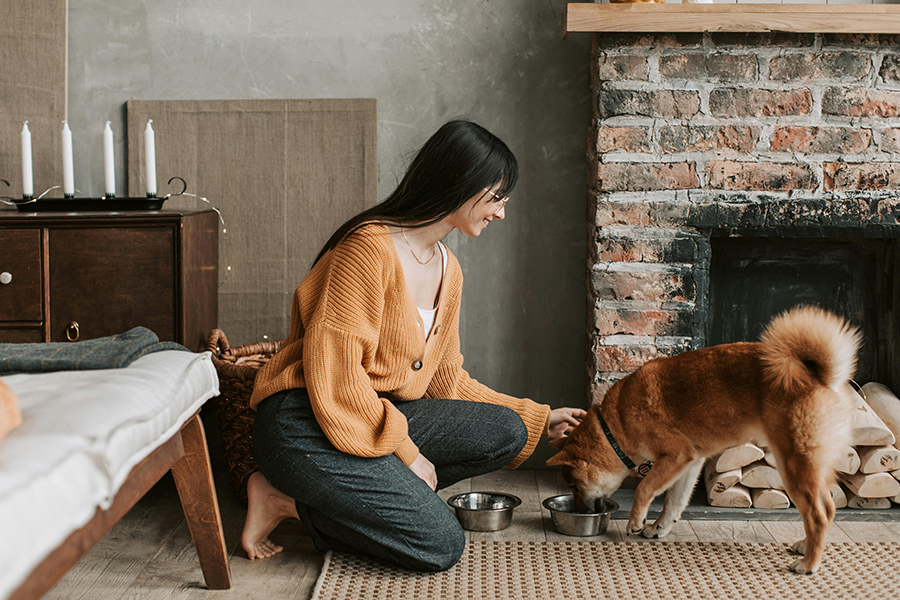 ¿Cómo fortalecer el vínculo con tu mascota? Más allá del cariño, un acto consciente ¿Cómo fortalecer el vínculo con tu mascota? Más allá del cariño, un acto consciente