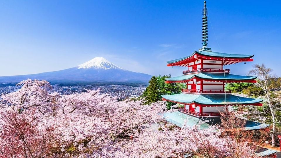 Trump recibirá 250 cerezos de Japón por los más de dos siglos de la Independencia de EU Trump recibirá 250 cerezos de Japón por los más de dos siglos de la Independencia de EU