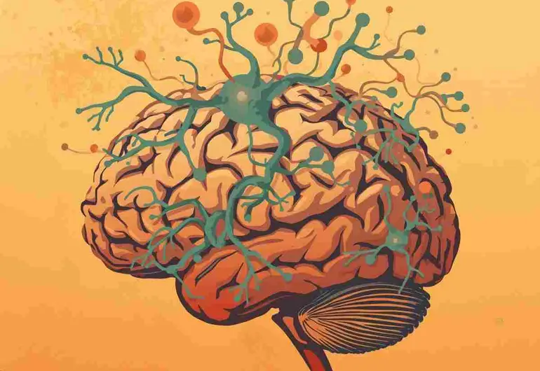 Trastornos de ansiedad se vinculan a bajos niveles de nutrientes en el cerebro, estudio